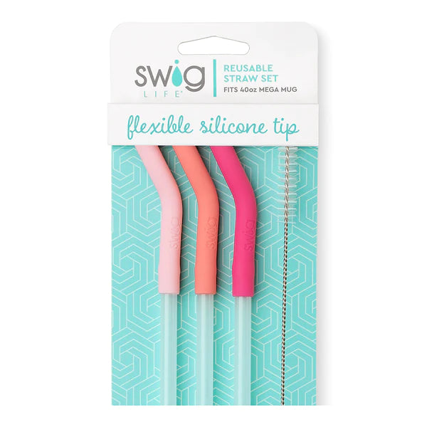 Swig Straw Set- Candy Cane & Snowflake – Calligraphy Creations In KY